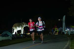 BIB: 
                            <button type="button" onclick="openModal(26172283)" class="btn btn-primary btn-sm float-right btn-popup" data-toggle="modal" data-target=".modal-high-quality">
                        <i class="fas fa-shopping-cart"></i> Add to Cart
                    </button>
                                            <button type="button" onclick="isThisMe(26172283, true)" class="btn btn-success btn-sm float-right btn-popup btn-isme hidden" data-toggle="tooltip" data-placement="bottom" title="นี่คือรูปของคุณใช่ไหม คลิกที่นี่เพื่อเอาเข้าอัลบั้ม">
                        <i class="fas fa-plus"></i> Add to album
                    </button>
                    <button type="button" onclick="isThisMe(26172283, false)" class="btn btn-warning btn-sm float-right btn-popup btn-isnotme hidden">
                        <i class="fas fa-ban"></i> Remove from album
                    </button>