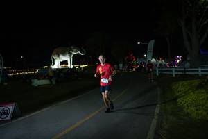 BIB: 
                            <button type="button" onclick="openModal(26171684)" class="btn btn-primary btn-sm float-right btn-popup" data-toggle="modal" data-target=".modal-high-quality">
                        <i class="fas fa-shopping-cart"></i> Add to Cart
                    </button>
                                            <button type="button" onclick="isThisMe(26171684, true)" class="btn btn-success btn-sm float-right btn-popup btn-isme hidden" data-toggle="tooltip" data-placement="bottom" title="นี่คือรูปของคุณใช่ไหม คลิกที่นี่เพื่อเอาเข้าอัลบั้ม">
                        <i class="fas fa-plus"></i> Add to album
                    </button>
                    <button type="button" onclick="isThisMe(26171684, false)" class="btn btn-warning btn-sm float-right btn-popup btn-isnotme hidden">
                        <i class="fas fa-ban"></i> Remove from album
                    </button>