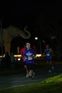 BIB: 
                            <button type="button" onclick="openModal(26173086)" class="btn btn-primary btn-sm float-right btn-popup" data-toggle="modal" data-target=".modal-high-quality">
                        <i class="fas fa-shopping-cart"></i> Add to Cart
                    </button>
                                            <button type="button" onclick="isThisMe(26173086, true)" class="btn btn-success btn-sm float-right btn-popup btn-isme hidden" data-toggle="tooltip" data-placement="bottom" title="นี่คือรูปของคุณใช่ไหม คลิกที่นี่เพื่อเอาเข้าอัลบั้ม">
                        <i class="fas fa-plus"></i> Add to album
                    </button>
                    <button type="button" onclick="isThisMe(26173086, false)" class="btn btn-warning btn-sm float-right btn-popup btn-isnotme hidden">
                        <i class="fas fa-ban"></i> Remove from album
                    </button>