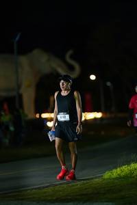 BIB: 
                            <button type="button" onclick="openModal(26173077)" class="btn btn-primary btn-sm float-right btn-popup" data-toggle="modal" data-target=".modal-high-quality">
                        <i class="fas fa-shopping-cart"></i> Add to Cart
                    </button>
                                            <button type="button" onclick="isThisMe(26173077, true)" class="btn btn-success btn-sm float-right btn-popup btn-isme hidden" data-toggle="tooltip" data-placement="bottom" title="นี่คือรูปของคุณใช่ไหม คลิกที่นี่เพื่อเอาเข้าอัลบั้ม">
                        <i class="fas fa-plus"></i> Add to album
                    </button>
                    <button type="button" onclick="isThisMe(26173077, false)" class="btn btn-warning btn-sm float-right btn-popup btn-isnotme hidden">
                        <i class="fas fa-ban"></i> Remove from album
                    </button>