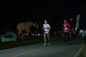 BIB: 
                            <button type="button" onclick="openModal(26172504)" class="btn btn-primary btn-sm float-right btn-popup" data-toggle="modal" data-target=".modal-high-quality">
                        <i class="fas fa-shopping-cart"></i> Add to Cart
                    </button>
                                            <button type="button" onclick="isThisMe(26172504, true)" class="btn btn-success btn-sm float-right btn-popup btn-isme hidden" data-toggle="tooltip" data-placement="bottom" title="นี่คือรูปของคุณใช่ไหม คลิกที่นี่เพื่อเอาเข้าอัลบั้ม">
                        <i class="fas fa-plus"></i> Add to album
                    </button>
                    <button type="button" onclick="isThisMe(26172504, false)" class="btn btn-warning btn-sm float-right btn-popup btn-isnotme hidden">
                        <i class="fas fa-ban"></i> Remove from album
                    </button>