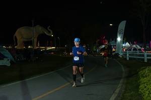 BIB: 
                            <button type="button" onclick="openModal(26173014)" class="btn btn-primary btn-sm float-right btn-popup" data-toggle="modal" data-target=".modal-high-quality">
                        <i class="fas fa-shopping-cart"></i> Add to Cart
                    </button>
                                            <button type="button" onclick="isThisMe(26173014, true)" class="btn btn-success btn-sm float-right btn-popup btn-isme hidden" data-toggle="tooltip" data-placement="bottom" title="นี่คือรูปของคุณใช่ไหม คลิกที่นี่เพื่อเอาเข้าอัลบั้ม">
                        <i class="fas fa-plus"></i> Add to album
                    </button>
                    <button type="button" onclick="isThisMe(26173014, false)" class="btn btn-warning btn-sm float-right btn-popup btn-isnotme hidden">
                        <i class="fas fa-ban"></i> Remove from album
                    </button>