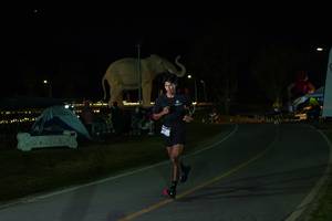 BIB: 
                            <button type="button" onclick="openModal(26173058)" class="btn btn-primary btn-sm float-right btn-popup" data-toggle="modal" data-target=".modal-high-quality">
                        <i class="fas fa-shopping-cart"></i> Add to Cart
                    </button>
                                            <button type="button" onclick="isThisMe(26173058, true)" class="btn btn-success btn-sm float-right btn-popup btn-isme hidden" data-toggle="tooltip" data-placement="bottom" title="นี่คือรูปของคุณใช่ไหม คลิกที่นี่เพื่อเอาเข้าอัลบั้ม">
                        <i class="fas fa-plus"></i> Add to album
                    </button>
                    <button type="button" onclick="isThisMe(26173058, false)" class="btn btn-warning btn-sm float-right btn-popup btn-isnotme hidden">
                        <i class="fas fa-ban"></i> Remove from album
                    </button>