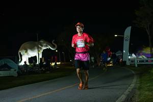 BIB: 
                            <button type="button" onclick="openModal(26172153)" class="btn btn-primary btn-sm float-right btn-popup" data-toggle="modal" data-target=".modal-high-quality">
                        <i class="fas fa-shopping-cart"></i> Add to Cart
                    </button>
                                            <button type="button" onclick="isThisMe(26172153, true)" class="btn btn-success btn-sm float-right btn-popup btn-isme hidden" data-toggle="tooltip" data-placement="bottom" title="นี่คือรูปของคุณใช่ไหม คลิกที่นี่เพื่อเอาเข้าอัลบั้ม">
                        <i class="fas fa-plus"></i> Add to album
                    </button>
                    <button type="button" onclick="isThisMe(26172153, false)" class="btn btn-warning btn-sm float-right btn-popup btn-isnotme hidden">
                        <i class="fas fa-ban"></i> Remove from album
                    </button>