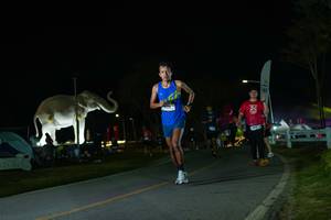 BIB: 
                            <button type="button" onclick="openModal(26172314)" class="btn btn-primary btn-sm float-right btn-popup" data-toggle="modal" data-target=".modal-high-quality">
                        <i class="fas fa-shopping-cart"></i> Add to Cart
                    </button>
                                            <button type="button" onclick="isThisMe(26172314, true)" class="btn btn-success btn-sm float-right btn-popup btn-isme hidden" data-toggle="tooltip" data-placement="bottom" title="นี่คือรูปของคุณใช่ไหม คลิกที่นี่เพื่อเอาเข้าอัลบั้ม">
                        <i class="fas fa-plus"></i> Add to album
                    </button>
                    <button type="button" onclick="isThisMe(26172314, false)" class="btn btn-warning btn-sm float-right btn-popup btn-isnotme hidden">
                        <i class="fas fa-ban"></i> Remove from album
                    </button>