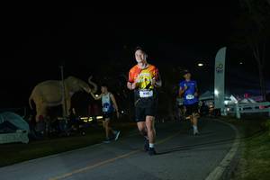 BIB: 
                            <button type="button" onclick="openModal(26172615)" class="btn btn-primary btn-sm float-right btn-popup" data-toggle="modal" data-target=".modal-high-quality">
                        <i class="fas fa-shopping-cart"></i> Add to Cart
                    </button>
                                            <button type="button" onclick="isThisMe(26172615, true)" class="btn btn-success btn-sm float-right btn-popup btn-isme hidden" data-toggle="tooltip" data-placement="bottom" title="นี่คือรูปของคุณใช่ไหม คลิกที่นี่เพื่อเอาเข้าอัลบั้ม">
                        <i class="fas fa-plus"></i> Add to album
                    </button>
                    <button type="button" onclick="isThisMe(26172615, false)" class="btn btn-warning btn-sm float-right btn-popup btn-isnotme hidden">
                        <i class="fas fa-ban"></i> Remove from album
                    </button>