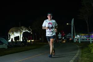 BIB: 
                            <button type="button" onclick="openModal(26172201)" class="btn btn-primary btn-sm float-right btn-popup" data-toggle="modal" data-target=".modal-high-quality">
                        <i class="fas fa-shopping-cart"></i> Add to Cart
                    </button>
                                            <button type="button" onclick="isThisMe(26172201, true)" class="btn btn-success btn-sm float-right btn-popup btn-isme hidden" data-toggle="tooltip" data-placement="bottom" title="นี่คือรูปของคุณใช่ไหม คลิกที่นี่เพื่อเอาเข้าอัลบั้ม">
                        <i class="fas fa-plus"></i> Add to album
                    </button>
                    <button type="button" onclick="isThisMe(26172201, false)" class="btn btn-warning btn-sm float-right btn-popup btn-isnotme hidden">
                        <i class="fas fa-ban"></i> Remove from album
                    </button>