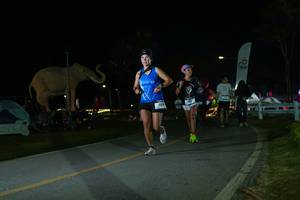 BIB: 
                            <button type="button" onclick="openModal(26172894)" class="btn btn-primary btn-sm float-right btn-popup" data-toggle="modal" data-target=".modal-high-quality">
                        <i class="fas fa-shopping-cart"></i> Add to Cart
                    </button>
                                            <button type="button" onclick="isThisMe(26172894, true)" class="btn btn-success btn-sm float-right btn-popup btn-isme hidden" data-toggle="tooltip" data-placement="bottom" title="นี่คือรูปของคุณใช่ไหม คลิกที่นี่เพื่อเอาเข้าอัลบั้ม">
                        <i class="fas fa-plus"></i> Add to album
                    </button>
                    <button type="button" onclick="isThisMe(26172894, false)" class="btn btn-warning btn-sm float-right btn-popup btn-isnotme hidden">
                        <i class="fas fa-ban"></i> Remove from album
                    </button>