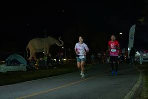 BIB: 
                            <button type="button" onclick="openModal(26172503)" class="btn btn-primary btn-sm float-right btn-popup" data-toggle="modal" data-target=".modal-high-quality">
                        <i class="fas fa-shopping-cart"></i> Add to Cart
                    </button>
                                            <button type="button" onclick="isThisMe(26172503, true)" class="btn btn-success btn-sm float-right btn-popup btn-isme hidden" data-toggle="tooltip" data-placement="bottom" title="นี่คือรูปของคุณใช่ไหม คลิกที่นี่เพื่อเอาเข้าอัลบั้ม">
                        <i class="fas fa-plus"></i> Add to album
                    </button>
                    <button type="button" onclick="isThisMe(26172503, false)" class="btn btn-warning btn-sm float-right btn-popup btn-isnotme hidden">
                        <i class="fas fa-ban"></i> Remove from album
                    </button>