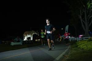 BIB: 
                            <button type="button" onclick="openModal(26171815)" class="btn btn-primary btn-sm float-right btn-popup" data-toggle="modal" data-target=".modal-high-quality">
                        <i class="fas fa-shopping-cart"></i> Add to Cart
                    </button>
                                            <button type="button" onclick="isThisMe(26171815, true)" class="btn btn-success btn-sm float-right btn-popup btn-isme hidden" data-toggle="tooltip" data-placement="bottom" title="นี่คือรูปของคุณใช่ไหม คลิกที่นี่เพื่อเอาเข้าอัลบั้ม">
                        <i class="fas fa-plus"></i> Add to album
                    </button>
                    <button type="button" onclick="isThisMe(26171815, false)" class="btn btn-warning btn-sm float-right btn-popup btn-isnotme hidden">
                        <i class="fas fa-ban"></i> Remove from album
                    </button>