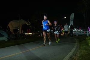 BIB: 
                            <button type="button" onclick="openModal(26172893)" class="btn btn-primary btn-sm float-right btn-popup" data-toggle="modal" data-target=".modal-high-quality">
                        <i class="fas fa-shopping-cart"></i> Add to Cart
                    </button>
                                            <button type="button" onclick="isThisMe(26172893, true)" class="btn btn-success btn-sm float-right btn-popup btn-isme hidden" data-toggle="tooltip" data-placement="bottom" title="นี่คือรูปของคุณใช่ไหม คลิกที่นี่เพื่อเอาเข้าอัลบั้ม">
                        <i class="fas fa-plus"></i> Add to album
                    </button>
                    <button type="button" onclick="isThisMe(26172893, false)" class="btn btn-warning btn-sm float-right btn-popup btn-isnotme hidden">
                        <i class="fas fa-ban"></i> Remove from album
                    </button>