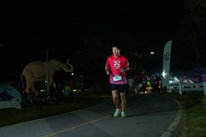 BIB: 
                            <button type="button" onclick="openModal(26172496)" class="btn btn-primary btn-sm float-right btn-popup" data-toggle="modal" data-target=".modal-high-quality">
                        <i class="fas fa-shopping-cart"></i> Add to Cart
                    </button>
                                            <button type="button" onclick="isThisMe(26172496, true)" class="btn btn-success btn-sm float-right btn-popup btn-isme hidden" data-toggle="tooltip" data-placement="bottom" title="นี่คือรูปของคุณใช่ไหม คลิกที่นี่เพื่อเอาเข้าอัลบั้ม">
                        <i class="fas fa-plus"></i> Add to album
                    </button>
                    <button type="button" onclick="isThisMe(26172496, false)" class="btn btn-warning btn-sm float-right btn-popup btn-isnotme hidden">
                        <i class="fas fa-ban"></i> Remove from album
                    </button>