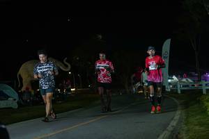 BIB: 
                            <button type="button" onclick="openModal(26172516)" class="btn btn-primary btn-sm float-right btn-popup" data-toggle="modal" data-target=".modal-high-quality">
                        <i class="fas fa-shopping-cart"></i> Add to Cart
                    </button>
                                            <button type="button" onclick="isThisMe(26172516, true)" class="btn btn-success btn-sm float-right btn-popup btn-isme hidden" data-toggle="tooltip" data-placement="bottom" title="นี่คือรูปของคุณใช่ไหม คลิกที่นี่เพื่อเอาเข้าอัลบั้ม">
                        <i class="fas fa-plus"></i> Add to album
                    </button>
                    <button type="button" onclick="isThisMe(26172516, false)" class="btn btn-warning btn-sm float-right btn-popup btn-isnotme hidden">
                        <i class="fas fa-ban"></i> Remove from album
                    </button>