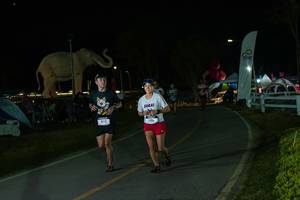 BIB: 
                            <button type="button" onclick="openModal(26173046)" class="btn btn-primary btn-sm float-right btn-popup" data-toggle="modal" data-target=".modal-high-quality">
                        <i class="fas fa-shopping-cart"></i> Add to Cart
                    </button>
                                            <button type="button" onclick="isThisMe(26173046, true)" class="btn btn-success btn-sm float-right btn-popup btn-isme hidden" data-toggle="tooltip" data-placement="bottom" title="นี่คือรูปของคุณใช่ไหม คลิกที่นี่เพื่อเอาเข้าอัลบั้ม">
                        <i class="fas fa-plus"></i> Add to album
                    </button>
                    <button type="button" onclick="isThisMe(26173046, false)" class="btn btn-warning btn-sm float-right btn-popup btn-isnotme hidden">
                        <i class="fas fa-ban"></i> Remove from album
                    </button>