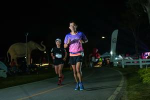 BIB: 
                            <button type="button" onclick="openModal(26172760)" class="btn btn-primary btn-sm float-right btn-popup" data-toggle="modal" data-target=".modal-high-quality">
                        <i class="fas fa-shopping-cart"></i> Add to Cart
                    </button>
                                            <button type="button" onclick="isThisMe(26172760, true)" class="btn btn-success btn-sm float-right btn-popup btn-isme hidden" data-toggle="tooltip" data-placement="bottom" title="นี่คือรูปของคุณใช่ไหม คลิกที่นี่เพื่อเอาเข้าอัลบั้ม">
                        <i class="fas fa-plus"></i> Add to album
                    </button>
                    <button type="button" onclick="isThisMe(26172760, false)" class="btn btn-warning btn-sm float-right btn-popup btn-isnotme hidden">
                        <i class="fas fa-ban"></i> Remove from album
                    </button>