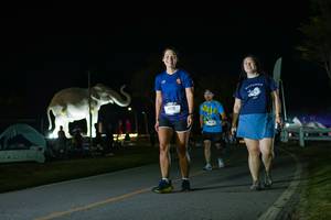 BIB: 
                            <button type="button" onclick="openModal(26172215)" class="btn btn-primary btn-sm float-right btn-popup" data-toggle="modal" data-target=".modal-high-quality">
                        <i class="fas fa-shopping-cart"></i> Add to Cart
                    </button>
                                            <button type="button" onclick="isThisMe(26172215, true)" class="btn btn-success btn-sm float-right btn-popup btn-isme hidden" data-toggle="tooltip" data-placement="bottom" title="นี่คือรูปของคุณใช่ไหม คลิกที่นี่เพื่อเอาเข้าอัลบั้ม">
                        <i class="fas fa-plus"></i> Add to album
                    </button>
                    <button type="button" onclick="isThisMe(26172215, false)" class="btn btn-warning btn-sm float-right btn-popup btn-isnotme hidden">
                        <i class="fas fa-ban"></i> Remove from album
                    </button>