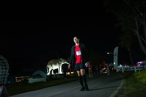 BIB: 
                            <button type="button" onclick="openModal(26172055)" class="btn btn-primary btn-sm float-right btn-popup" data-toggle="modal" data-target=".modal-high-quality">
                        <i class="fas fa-shopping-cart"></i> Add to Cart
                    </button>
                                            <button type="button" onclick="isThisMe(26172055, true)" class="btn btn-success btn-sm float-right btn-popup btn-isme hidden" data-toggle="tooltip" data-placement="bottom" title="นี่คือรูปของคุณใช่ไหม คลิกที่นี่เพื่อเอาเข้าอัลบั้ม">
                        <i class="fas fa-plus"></i> Add to album
                    </button>
                    <button type="button" onclick="isThisMe(26172055, false)" class="btn btn-warning btn-sm float-right btn-popup btn-isnotme hidden">
                        <i class="fas fa-ban"></i> Remove from album
                    </button>