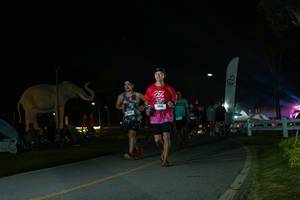 BIB: 
                            <button type="button" onclick="openModal(26172455)" class="btn btn-primary btn-sm float-right btn-popup" data-toggle="modal" data-target=".modal-high-quality">
                        <i class="fas fa-shopping-cart"></i> Add to Cart
                    </button>
                                            <button type="button" onclick="isThisMe(26172455, true)" class="btn btn-success btn-sm float-right btn-popup btn-isme hidden" data-toggle="tooltip" data-placement="bottom" title="นี่คือรูปของคุณใช่ไหม คลิกที่นี่เพื่อเอาเข้าอัลบั้ม">
                        <i class="fas fa-plus"></i> Add to album
                    </button>
                    <button type="button" onclick="isThisMe(26172455, false)" class="btn btn-warning btn-sm float-right btn-popup btn-isnotme hidden">
                        <i class="fas fa-ban"></i> Remove from album
                    </button>