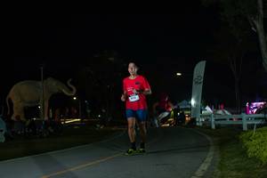 BIB: 
                            <button type="button" onclick="openModal(26172922)" class="btn btn-primary btn-sm float-right btn-popup" data-toggle="modal" data-target=".modal-high-quality">
                        <i class="fas fa-shopping-cart"></i> Add to Cart
                    </button>
                                            <button type="button" onclick="isThisMe(26172922, true)" class="btn btn-success btn-sm float-right btn-popup btn-isme hidden" data-toggle="tooltip" data-placement="bottom" title="นี่คือรูปของคุณใช่ไหม คลิกที่นี่เพื่อเอาเข้าอัลบั้ม">
                        <i class="fas fa-plus"></i> Add to album
                    </button>
                    <button type="button" onclick="isThisMe(26172922, false)" class="btn btn-warning btn-sm float-right btn-popup btn-isnotme hidden">
                        <i class="fas fa-ban"></i> Remove from album
                    </button>