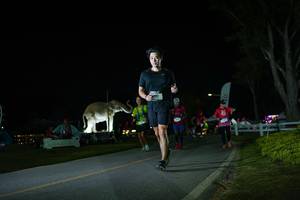 BIB: 
                            <button type="button" onclick="openModal(26171818)" class="btn btn-primary btn-sm float-right btn-popup" data-toggle="modal" data-target=".modal-high-quality">
                        <i class="fas fa-shopping-cart"></i> Add to Cart
                    </button>
                                            <button type="button" onclick="isThisMe(26171818, true)" class="btn btn-success btn-sm float-right btn-popup btn-isme hidden" data-toggle="tooltip" data-placement="bottom" title="นี่คือรูปของคุณใช่ไหม คลิกที่นี่เพื่อเอาเข้าอัลบั้ม">
                        <i class="fas fa-plus"></i> Add to album
                    </button>
                    <button type="button" onclick="isThisMe(26171818, false)" class="btn btn-warning btn-sm float-right btn-popup btn-isnotme hidden">
                        <i class="fas fa-ban"></i> Remove from album
                    </button>