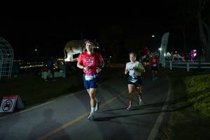 BIB: 
                            <button type="button" onclick="openModal(26171789)" class="btn btn-primary btn-sm float-right btn-popup" data-toggle="modal" data-target=".modal-high-quality">
                        <i class="fas fa-shopping-cart"></i> Add to Cart
                    </button>
                                            <button type="button" onclick="isThisMe(26171789, true)" class="btn btn-success btn-sm float-right btn-popup btn-isme hidden" data-toggle="tooltip" data-placement="bottom" title="นี่คือรูปของคุณใช่ไหม คลิกที่นี่เพื่อเอาเข้าอัลบั้ม">
                        <i class="fas fa-plus"></i> Add to album
                    </button>
                    <button type="button" onclick="isThisMe(26171789, false)" class="btn btn-warning btn-sm float-right btn-popup btn-isnotme hidden">
                        <i class="fas fa-ban"></i> Remove from album
                    </button>