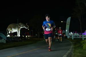 BIB: 
                            <button type="button" onclick="openModal(26172106)" class="btn btn-primary btn-sm float-right btn-popup" data-toggle="modal" data-target=".modal-high-quality">
                        <i class="fas fa-shopping-cart"></i> Add to Cart
                    </button>
                                            <button type="button" onclick="isThisMe(26172106, true)" class="btn btn-success btn-sm float-right btn-popup btn-isme hidden" data-toggle="tooltip" data-placement="bottom" title="นี่คือรูปของคุณใช่ไหม คลิกที่นี่เพื่อเอาเข้าอัลบั้ม">
                        <i class="fas fa-plus"></i> Add to album
                    </button>
                    <button type="button" onclick="isThisMe(26172106, false)" class="btn btn-warning btn-sm float-right btn-popup btn-isnotme hidden">
                        <i class="fas fa-ban"></i> Remove from album
                    </button>