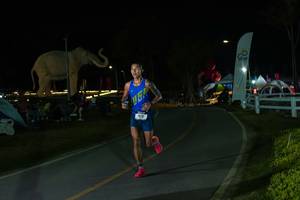 BIB: 
                            <button type="button" onclick="openModal(26173056)" class="btn btn-primary btn-sm float-right btn-popup" data-toggle="modal" data-target=".modal-high-quality">
                        <i class="fas fa-shopping-cart"></i> Add to Cart
                    </button>
                                            <button type="button" onclick="isThisMe(26173056, true)" class="btn btn-success btn-sm float-right btn-popup btn-isme hidden" data-toggle="tooltip" data-placement="bottom" title="นี่คือรูปของคุณใช่ไหม คลิกที่นี่เพื่อเอาเข้าอัลบั้ม">
                        <i class="fas fa-plus"></i> Add to album
                    </button>
                    <button type="button" onclick="isThisMe(26173056, false)" class="btn btn-warning btn-sm float-right btn-popup btn-isnotme hidden">
                        <i class="fas fa-ban"></i> Remove from album
                    </button>