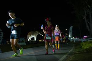 BIB: 
                            <button type="button" onclick="openModal(26171841)" class="btn btn-primary btn-sm float-right btn-popup" data-toggle="modal" data-target=".modal-high-quality">
                        <i class="fas fa-shopping-cart"></i> Add to Cart
                    </button>
                                            <button type="button" onclick="isThisMe(26171841, true)" class="btn btn-success btn-sm float-right btn-popup btn-isme hidden" data-toggle="tooltip" data-placement="bottom" title="นี่คือรูปของคุณใช่ไหม คลิกที่นี่เพื่อเอาเข้าอัลบั้ม">
                        <i class="fas fa-plus"></i> Add to album
                    </button>
                    <button type="button" onclick="isThisMe(26171841, false)" class="btn btn-warning btn-sm float-right btn-popup btn-isnotme hidden">
                        <i class="fas fa-ban"></i> Remove from album
                    </button>