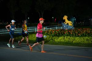 BIB: 
                            <button type="button" onclick="openModal(26170604)" class="btn btn-primary btn-sm float-right btn-popup" data-toggle="modal" data-target=".modal-high-quality">
                        <i class="fas fa-shopping-cart"></i> Add to Cart
                    </button>
                                            <button type="button" onclick="isThisMe(26170604, true)" class="btn btn-success btn-sm float-right btn-popup btn-isme hidden" data-toggle="tooltip" data-placement="bottom" title="นี่คือรูปของคุณใช่ไหม คลิกที่นี่เพื่อเอาเข้าอัลบั้ม">
                        <i class="fas fa-plus"></i> Add to album
                    </button>
                    <button type="button" onclick="isThisMe(26170604, false)" class="btn btn-warning btn-sm float-right btn-popup btn-isnotme hidden">
                        <i class="fas fa-ban"></i> Remove from album
                    </button>