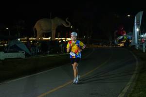 BIB: 
                            <button type="button" onclick="openModal(26173059)" class="btn btn-primary btn-sm float-right btn-popup" data-toggle="modal" data-target=".modal-high-quality">
                        <i class="fas fa-shopping-cart"></i> Add to Cart
                    </button>
                                            <button type="button" onclick="isThisMe(26173059, true)" class="btn btn-success btn-sm float-right btn-popup btn-isme hidden" data-toggle="tooltip" data-placement="bottom" title="นี่คือรูปของคุณใช่ไหม คลิกที่นี่เพื่อเอาเข้าอัลบั้ม">
                        <i class="fas fa-plus"></i> Add to album
                    </button>
                    <button type="button" onclick="isThisMe(26173059, false)" class="btn btn-warning btn-sm float-right btn-popup btn-isnotme hidden">
                        <i class="fas fa-ban"></i> Remove from album
                    </button>