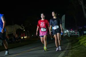 BIB: 
                            <button type="button" onclick="openModal(26172608)" class="btn btn-primary btn-sm float-right btn-popup" data-toggle="modal" data-target=".modal-high-quality">
                        <i class="fas fa-shopping-cart"></i> Add to Cart
                    </button>
                                            <button type="button" onclick="isThisMe(26172608, true)" class="btn btn-success btn-sm float-right btn-popup btn-isme hidden" data-toggle="tooltip" data-placement="bottom" title="นี่คือรูปของคุณใช่ไหม คลิกที่นี่เพื่อเอาเข้าอัลบั้ม">
                        <i class="fas fa-plus"></i> Add to album
                    </button>
                    <button type="button" onclick="isThisMe(26172608, false)" class="btn btn-warning btn-sm float-right btn-popup btn-isnotme hidden">
                        <i class="fas fa-ban"></i> Remove from album
                    </button>