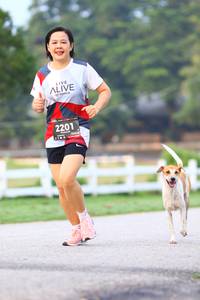 BIB: 2201
                            <button type="button" onclick="openModal(6364471)" class="btn btn-primary btn-sm float-right btn-popup" data-toggle="modal" data-target=".modal-high-quality">
                        <i class="fas fa-shopping-cart"></i> Add to Cart
                    </button>
                                            <button type="button" onclick="isThisMe(6364471, true)" class="btn btn-success btn-sm float-right btn-popup btn-isme hidden" data-toggle="tooltip" data-placement="bottom" title="นี่คือรูปของคุณใช่ไหม คลิกที่นี่เพื่อเอาเข้าอัลบั้ม">
                        <i class="fas fa-plus"></i> Add to album
                    </button>
                    <button type="button" onclick="isThisMe(6364471, false)" class="btn btn-warning btn-sm float-right btn-popup btn-isnotme hidden">
                        <i class="fas fa-ban"></i> Remove from album
                    </button>