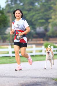 BIB: 2201
                            <button type="button" onclick="openModal(6364472)" class="btn btn-primary btn-sm float-right btn-popup" data-toggle="modal" data-target=".modal-high-quality">
                        <i class="fas fa-shopping-cart"></i> Add to Cart
                    </button>
                                            <button type="button" onclick="isThisMe(6364472, true)" class="btn btn-success btn-sm float-right btn-popup btn-isme hidden" data-toggle="tooltip" data-placement="bottom" title="นี่คือรูปของคุณใช่ไหม คลิกที่นี่เพื่อเอาเข้าอัลบั้ม">
                        <i class="fas fa-plus"></i> Add to album
                    </button>
                    <button type="button" onclick="isThisMe(6364472, false)" class="btn btn-warning btn-sm float-right btn-popup btn-isnotme hidden">
                        <i class="fas fa-ban"></i> Remove from album
                    </button>