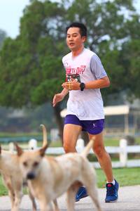 BIB: 2019
                            <button type="button" onclick="openModal(6360094)" class="btn btn-primary btn-sm float-right btn-popup" data-toggle="modal" data-target=".modal-high-quality">
                        <i class="fas fa-shopping-cart"></i> Add to Cart
                    </button>
                                            <button type="button" onclick="isThisMe(6360094, true)" class="btn btn-success btn-sm float-right btn-popup btn-isme hidden" data-toggle="tooltip" data-placement="bottom" title="นี่คือรูปของคุณใช่ไหม คลิกที่นี่เพื่อเอาเข้าอัลบั้ม">
                        <i class="fas fa-plus"></i> Add to album
                    </button>
                    <button type="button" onclick="isThisMe(6360094, false)" class="btn btn-warning btn-sm float-right btn-popup btn-isnotme hidden">
                        <i class="fas fa-ban"></i> Remove from album
                    </button>