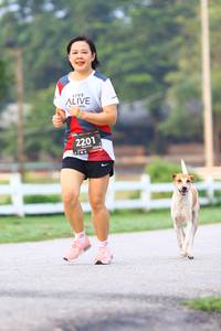 BIB: 2201
                            <button type="button" onclick="openModal(6364468)" class="btn btn-primary btn-sm float-right btn-popup" data-toggle="modal" data-target=".modal-high-quality">
                        <i class="fas fa-shopping-cart"></i> Add to Cart
                    </button>
                                            <button type="button" onclick="isThisMe(6364468, true)" class="btn btn-success btn-sm float-right btn-popup btn-isme hidden" data-toggle="tooltip" data-placement="bottom" title="นี่คือรูปของคุณใช่ไหม คลิกที่นี่เพื่อเอาเข้าอัลบั้ม">
                        <i class="fas fa-plus"></i> Add to album
                    </button>
                    <button type="button" onclick="isThisMe(6364468, false)" class="btn btn-warning btn-sm float-right btn-popup btn-isnotme hidden">
                        <i class="fas fa-ban"></i> Remove from album
                    </button>