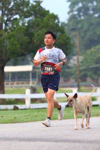 BIB: 2481
                            <button type="button" onclick="openModal(6360078)" class="btn btn-primary btn-sm float-right btn-popup" data-toggle="modal" data-target=".modal-high-quality">
                        <i class="fas fa-shopping-cart"></i> Add to Cart
                    </button>
                                            <button type="button" onclick="isThisMe(6360078, true)" class="btn btn-success btn-sm float-right btn-popup btn-isme hidden" data-toggle="tooltip" data-placement="bottom" title="นี่คือรูปของคุณใช่ไหม คลิกที่นี่เพื่อเอาเข้าอัลบั้ม">
                        <i class="fas fa-plus"></i> Add to album
                    </button>
                    <button type="button" onclick="isThisMe(6360078, false)" class="btn btn-warning btn-sm float-right btn-popup btn-isnotme hidden">
                        <i class="fas fa-ban"></i> Remove from album
                    </button>