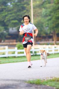 BIB: 2201
                            <button type="button" onclick="openModal(6364464)" class="btn btn-primary btn-sm float-right btn-popup" data-toggle="modal" data-target=".modal-high-quality">
                        <i class="fas fa-shopping-cart"></i> Add to Cart
                    </button>
                                            <button type="button" onclick="isThisMe(6364464, true)" class="btn btn-success btn-sm float-right btn-popup btn-isme hidden" data-toggle="tooltip" data-placement="bottom" title="นี่คือรูปของคุณใช่ไหม คลิกที่นี่เพื่อเอาเข้าอัลบั้ม">
                        <i class="fas fa-plus"></i> Add to album
                    </button>
                    <button type="button" onclick="isThisMe(6364464, false)" class="btn btn-warning btn-sm float-right btn-popup btn-isnotme hidden">
                        <i class="fas fa-ban"></i> Remove from album
                    </button>