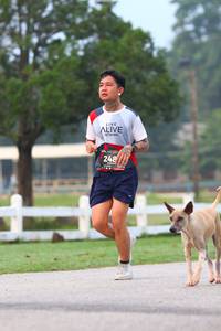 BIB: 248
                            <button type="button" onclick="openModal(6360077)" class="btn btn-primary btn-sm float-right btn-popup" data-toggle="modal" data-target=".modal-high-quality">
                        <i class="fas fa-shopping-cart"></i> Add to Cart
                    </button>
                                            <button type="button" onclick="isThisMe(6360077, true)" class="btn btn-success btn-sm float-right btn-popup btn-isme hidden" data-toggle="tooltip" data-placement="bottom" title="นี่คือรูปของคุณใช่ไหม คลิกที่นี่เพื่อเอาเข้าอัลบั้ม">
                        <i class="fas fa-plus"></i> Add to album
                    </button>
                    <button type="button" onclick="isThisMe(6360077, false)" class="btn btn-warning btn-sm float-right btn-popup btn-isnotme hidden">
                        <i class="fas fa-ban"></i> Remove from album
                    </button>