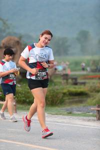 BIB: 2195, 275
                            <button type="button" onclick="openModal(6354893)" class="btn btn-primary btn-sm float-right btn-popup" data-toggle="modal" data-target=".modal-high-quality">
                        <i class="fas fa-shopping-cart"></i> Add to Cart
                    </button>
                                            <button type="button" onclick="isThisMe(6354893, true)" class="btn btn-success btn-sm float-right btn-popup btn-isme hidden" data-toggle="tooltip" data-placement="bottom" title="นี่คือรูปของคุณใช่ไหม คลิกที่นี่เพื่อเอาเข้าอัลบั้ม">
                        <i class="fas fa-plus"></i> Add to album
                    </button>
                    <button type="button" onclick="isThisMe(6354893, false)" class="btn btn-warning btn-sm float-right btn-popup btn-isnotme hidden">
                        <i class="fas fa-ban"></i> Remove from album
                    </button>