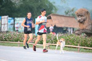 BIB: 2134, 2004
                            <button type="button" onclick="openModal(6348308)" class="btn btn-primary btn-sm float-right btn-popup" data-toggle="modal" data-target=".modal-high-quality">
                        <i class="fas fa-shopping-cart"></i> Add to Cart
                    </button>
                                            <button type="button" onclick="isThisMe(6348308, true)" class="btn btn-success btn-sm float-right btn-popup btn-isme hidden" data-toggle="tooltip" data-placement="bottom" title="นี่คือรูปของคุณใช่ไหม คลิกที่นี่เพื่อเอาเข้าอัลบั้ม">
                        <i class="fas fa-plus"></i> Add to album
                    </button>
                    <button type="button" onclick="isThisMe(6348308, false)" class="btn btn-warning btn-sm float-right btn-popup btn-isnotme hidden">
                        <i class="fas fa-ban"></i> Remove from album
                    </button>