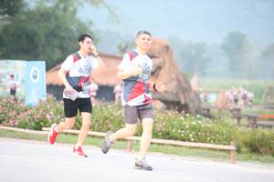 BIB: 2132, 314
                            <button type="button" onclick="openModal(6354432)" class="btn btn-primary btn-sm float-right btn-popup" data-toggle="modal" data-target=".modal-high-quality">
                        <i class="fas fa-shopping-cart"></i> Add to Cart
                    </button>
                                            <button type="button" onclick="isThisMe(6354432, true)" class="btn btn-success btn-sm float-right btn-popup btn-isme hidden" data-toggle="tooltip" data-placement="bottom" title="นี่คือรูปของคุณใช่ไหม คลิกที่นี่เพื่อเอาเข้าอัลบั้ม">
                        <i class="fas fa-plus"></i> Add to album
                    </button>
                    <button type="button" onclick="isThisMe(6354432, false)" class="btn btn-warning btn-sm float-right btn-popup btn-isnotme hidden">
                        <i class="fas fa-ban"></i> Remove from album
                    </button>