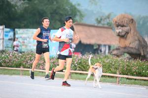 BIB: 200
                            <button type="button" onclick="openModal(6348311)" class="btn btn-primary btn-sm float-right btn-popup" data-toggle="modal" data-target=".modal-high-quality">
                        <i class="fas fa-shopping-cart"></i> Add to Cart
                    </button>
                                            <button type="button" onclick="isThisMe(6348311, true)" class="btn btn-success btn-sm float-right btn-popup btn-isme hidden" data-toggle="tooltip" data-placement="bottom" title="นี่คือรูปของคุณใช่ไหม คลิกที่นี่เพื่อเอาเข้าอัลบั้ม">
                        <i class="fas fa-plus"></i> Add to album
                    </button>
                    <button type="button" onclick="isThisMe(6348311, false)" class="btn btn-warning btn-sm float-right btn-popup btn-isnotme hidden">
                        <i class="fas fa-ban"></i> Remove from album
                    </button>