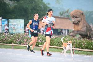 BIB: 2134, 200
                            <button type="button" onclick="openModal(6348435)" class="btn btn-primary btn-sm float-right btn-popup" data-toggle="modal" data-target=".modal-high-quality">
                        <i class="fas fa-shopping-cart"></i> Add to Cart
                    </button>
                                            <button type="button" onclick="isThisMe(6348435, true)" class="btn btn-success btn-sm float-right btn-popup btn-isme hidden" data-toggle="tooltip" data-placement="bottom" title="นี่คือรูปของคุณใช่ไหม คลิกที่นี่เพื่อเอาเข้าอัลบั้ม">
                        <i class="fas fa-plus"></i> Add to album
                    </button>
                    <button type="button" onclick="isThisMe(6348435, false)" class="btn btn-warning btn-sm float-right btn-popup btn-isnotme hidden">
                        <i class="fas fa-ban"></i> Remove from album
                    </button>