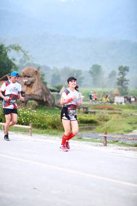 BIB: 2466, 2019
                            <button type="button" onclick="openModal(6366172)" class="btn btn-primary btn-sm float-right btn-popup" data-toggle="modal" data-target=".modal-high-quality">
                        <i class="fas fa-shopping-cart"></i> Add to Cart
                    </button>
                                            <button type="button" onclick="isThisMe(6366172, true)" class="btn btn-success btn-sm float-right btn-popup btn-isme hidden" data-toggle="tooltip" data-placement="bottom" title="นี่คือรูปของคุณใช่ไหม คลิกที่นี่เพื่อเอาเข้าอัลบั้ม">
                        <i class="fas fa-plus"></i> Add to album
                    </button>
                    <button type="button" onclick="isThisMe(6366172, false)" class="btn btn-warning btn-sm float-right btn-popup btn-isnotme hidden">
                        <i class="fas fa-ban"></i> Remove from album
                    </button>