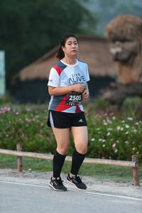 BIB: 2505
                            <button type="button" onclick="openModal(6354525)" class="btn btn-primary btn-sm float-right btn-popup" data-toggle="modal" data-target=".modal-high-quality">
                        <i class="fas fa-shopping-cart"></i> Add to Cart
                    </button>
                                            <button type="button" onclick="isThisMe(6354525, true)" class="btn btn-success btn-sm float-right btn-popup btn-isme hidden" data-toggle="tooltip" data-placement="bottom" title="นี่คือรูปของคุณใช่ไหม คลิกที่นี่เพื่อเอาเข้าอัลบั้ม">
                        <i class="fas fa-plus"></i> Add to album
                    </button>
                    <button type="button" onclick="isThisMe(6354525, false)" class="btn btn-warning btn-sm float-right btn-popup btn-isnotme hidden">
                        <i class="fas fa-ban"></i> Remove from album
                    </button>