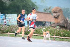 BIB: 2134
                            <button type="button" onclick="openModal(6348322)" class="btn btn-primary btn-sm float-right btn-popup" data-toggle="modal" data-target=".modal-high-quality">
                        <i class="fas fa-shopping-cart"></i> Add to Cart
                    </button>
                                            <button type="button" onclick="isThisMe(6348322, true)" class="btn btn-success btn-sm float-right btn-popup btn-isme hidden" data-toggle="tooltip" data-placement="bottom" title="นี่คือรูปของคุณใช่ไหม คลิกที่นี่เพื่อเอาเข้าอัลบั้ม">
                        <i class="fas fa-plus"></i> Add to album
                    </button>
                    <button type="button" onclick="isThisMe(6348322, false)" class="btn btn-warning btn-sm float-right btn-popup btn-isnotme hidden">
                        <i class="fas fa-ban"></i> Remove from album
                    </button>