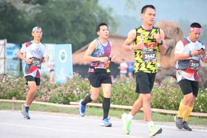 BIB: 2442, 2410, 2172
                            <button type="button" onclick="openModal(6353367)" class="btn btn-primary btn-sm float-right btn-popup" data-toggle="modal" data-target=".modal-high-quality">
                        <i class="fas fa-shopping-cart"></i> Add to Cart
                    </button>
                                            <button type="button" onclick="isThisMe(6353367, true)" class="btn btn-success btn-sm float-right btn-popup btn-isme hidden" data-toggle="tooltip" data-placement="bottom" title="นี่คือรูปของคุณใช่ไหม คลิกที่นี่เพื่อเอาเข้าอัลบั้ม">
                        <i class="fas fa-plus"></i> Add to album
                    </button>
                    <button type="button" onclick="isThisMe(6353367, false)" class="btn btn-warning btn-sm float-right btn-popup btn-isnotme hidden">
                        <i class="fas fa-ban"></i> Remove from album
                    </button>