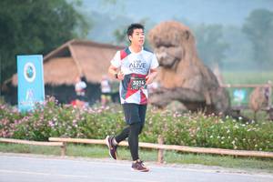 BIB: 3014
                            <button type="button" onclick="openModal(6349145)" class="btn btn-primary btn-sm float-right btn-popup" data-toggle="modal" data-target=".modal-high-quality">
                        <i class="fas fa-shopping-cart"></i> Add to Cart
                    </button>
                                            <button type="button" onclick="isThisMe(6349145, true)" class="btn btn-success btn-sm float-right btn-popup btn-isme hidden" data-toggle="tooltip" data-placement="bottom" title="นี่คือรูปของคุณใช่ไหม คลิกที่นี่เพื่อเอาเข้าอัลบั้ม">
                        <i class="fas fa-plus"></i> Add to album
                    </button>
                    <button type="button" onclick="isThisMe(6349145, false)" class="btn btn-warning btn-sm float-right btn-popup btn-isnotme hidden">
                        <i class="fas fa-ban"></i> Remove from album
                    </button>