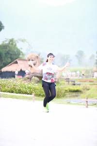 BIB: 3191, 
                            <button type="button" onclick="openModal(6361576)" class="btn btn-primary btn-sm float-right btn-popup" data-toggle="modal" data-target=".modal-high-quality">
                        <i class="fas fa-shopping-cart"></i> Add to Cart
                    </button>
                                            <button type="button" onclick="isThisMe(6361576, true)" class="btn btn-success btn-sm float-right btn-popup btn-isme hidden" data-toggle="tooltip" data-placement="bottom" title="นี่คือรูปของคุณใช่ไหม คลิกที่นี่เพื่อเอาเข้าอัลบั้ม">
                        <i class="fas fa-plus"></i> Add to album
                    </button>
                    <button type="button" onclick="isThisMe(6361576, false)" class="btn btn-warning btn-sm float-right btn-popup btn-isnotme hidden">
                        <i class="fas fa-ban"></i> Remove from album
                    </button>