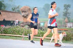 BIB: 213, 2004
                            <button type="button" onclick="openModal(6348436)" class="btn btn-primary btn-sm float-right btn-popup" data-toggle="modal" data-target=".modal-high-quality">
                        <i class="fas fa-shopping-cart"></i> Add to Cart
                    </button>
                                            <button type="button" onclick="isThisMe(6348436, true)" class="btn btn-success btn-sm float-right btn-popup btn-isme hidden" data-toggle="tooltip" data-placement="bottom" title="นี่คือรูปของคุณใช่ไหม คลิกที่นี่เพื่อเอาเข้าอัลบั้ม">
                        <i class="fas fa-plus"></i> Add to album
                    </button>
                    <button type="button" onclick="isThisMe(6348436, false)" class="btn btn-warning btn-sm float-right btn-popup btn-isnotme hidden">
                        <i class="fas fa-ban"></i> Remove from album
                    </button>